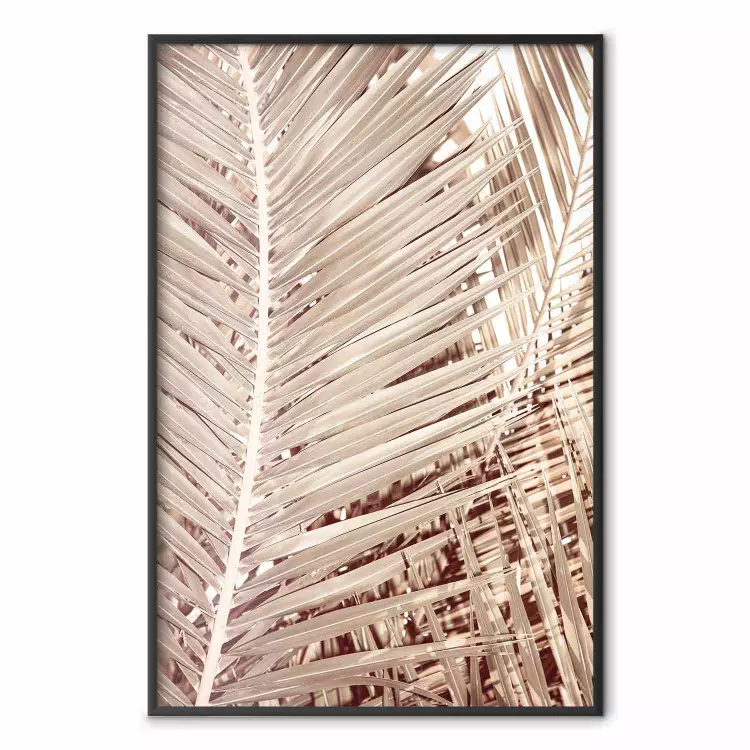 Beige Palm - composition of tropical palm leaves in golden hue