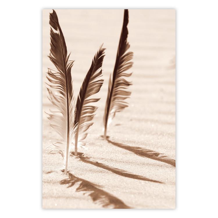 Poster Shady Feathers - marine composition of feathers in sand in sepia colors