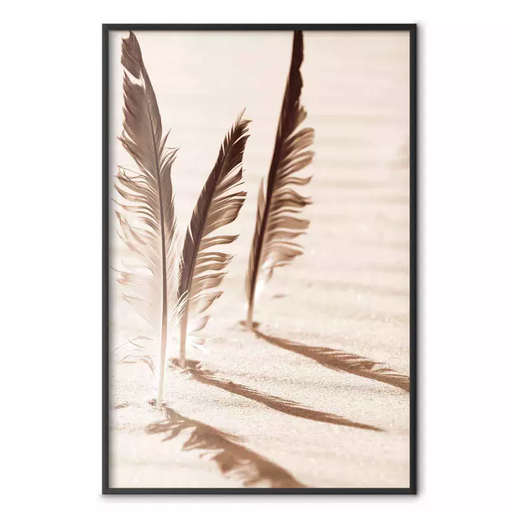Shady Feathers - marine composition of feathers in sand in sepia colors