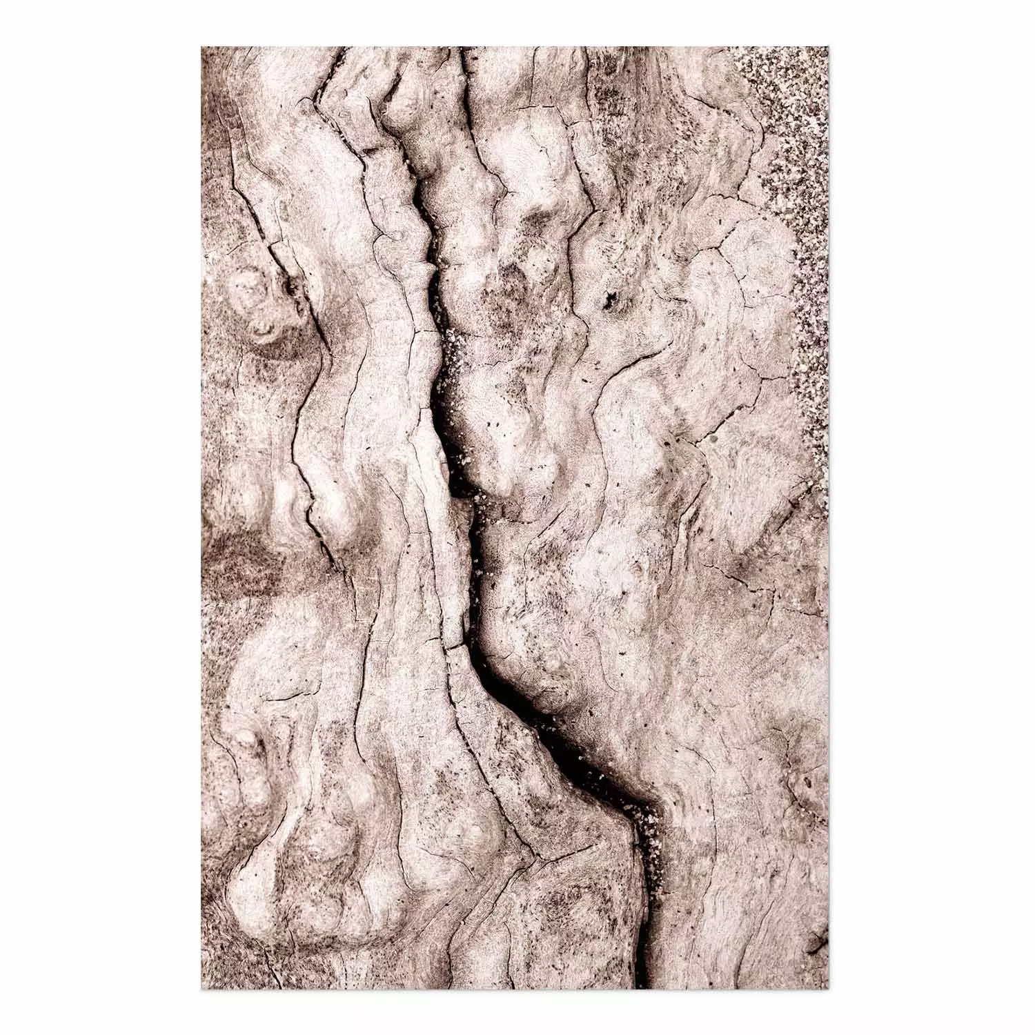 Wall Poster Touch of Tropical Wind - natural texture of cracked driftwood