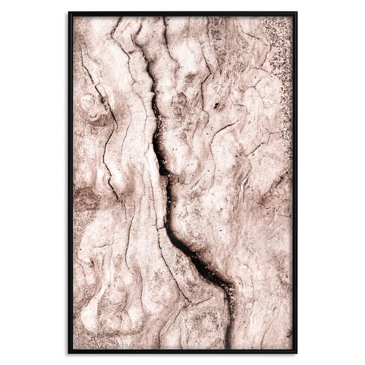 Poster Touch of Tropical Wind - natural texture of cracked driftwood