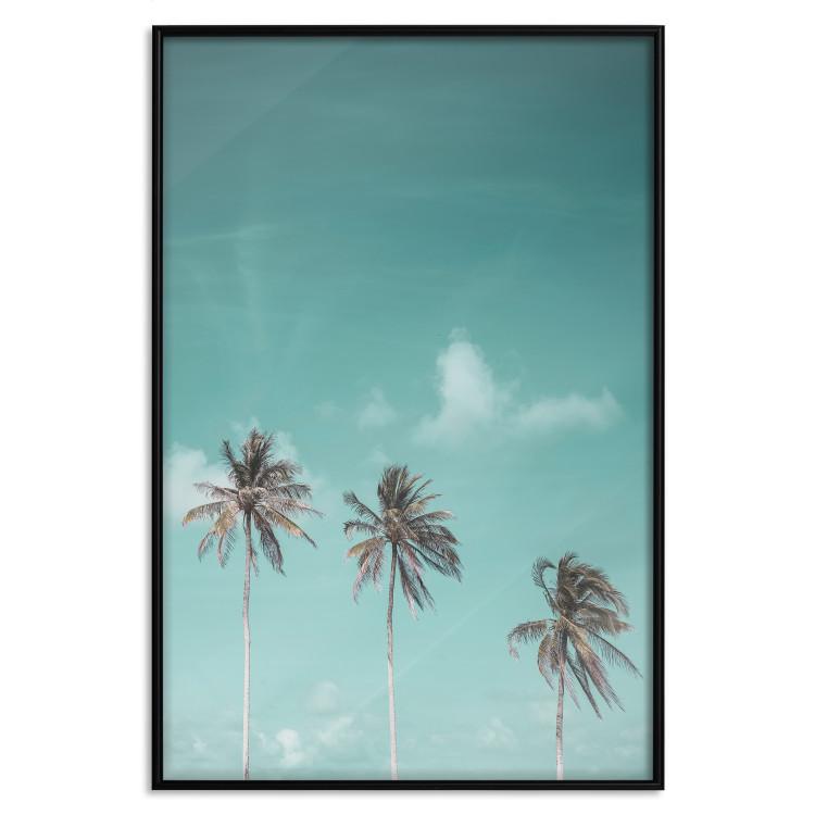 Poster On Freedom - tropical landscape of three palms against clear sky