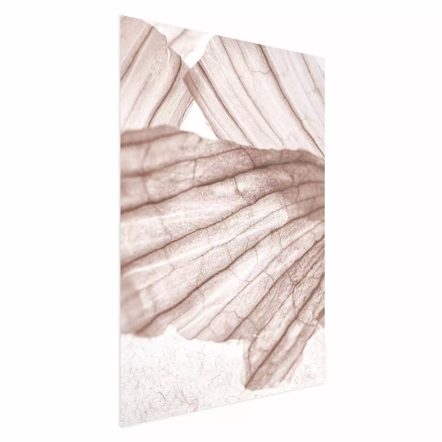 Poster Winged Light - abstract light wood texture
