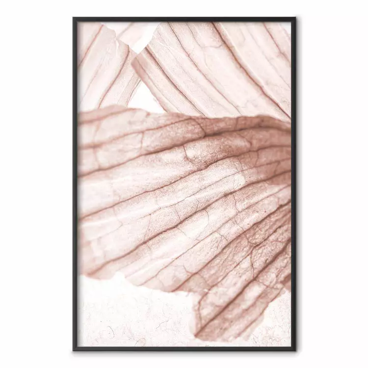 Winged Light - abstract light wood texture