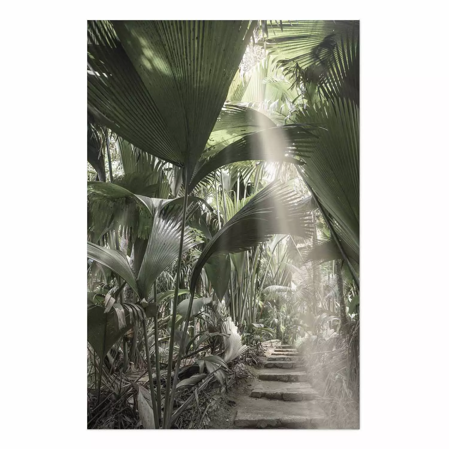 Wall Poster Beam of Light - tropical composition of green jungle in sunlight