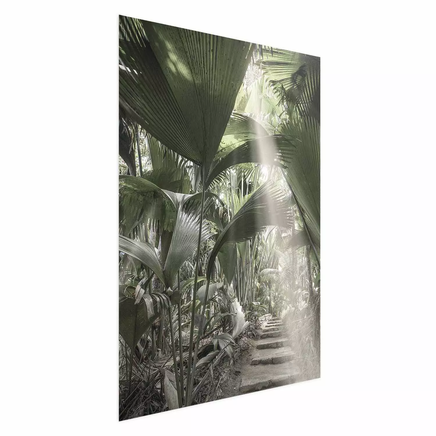 Wall Poster Beam of Light - tropical composition of green jungle in sunlight
