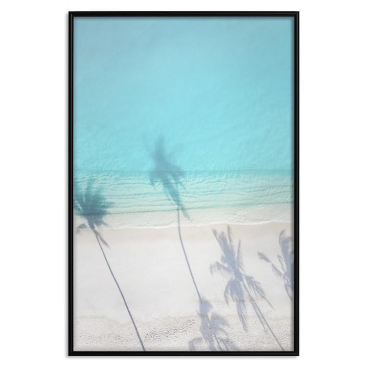 Poster Turquoise Morning - seaside landscape with vivid shadow of palms