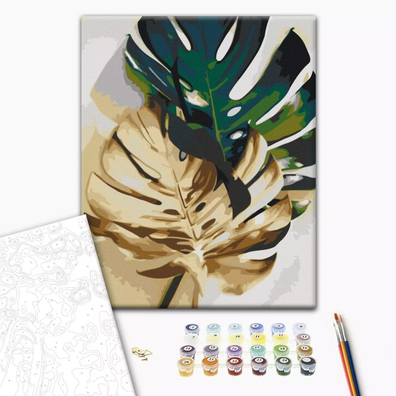 Paint by number Golden Monstera