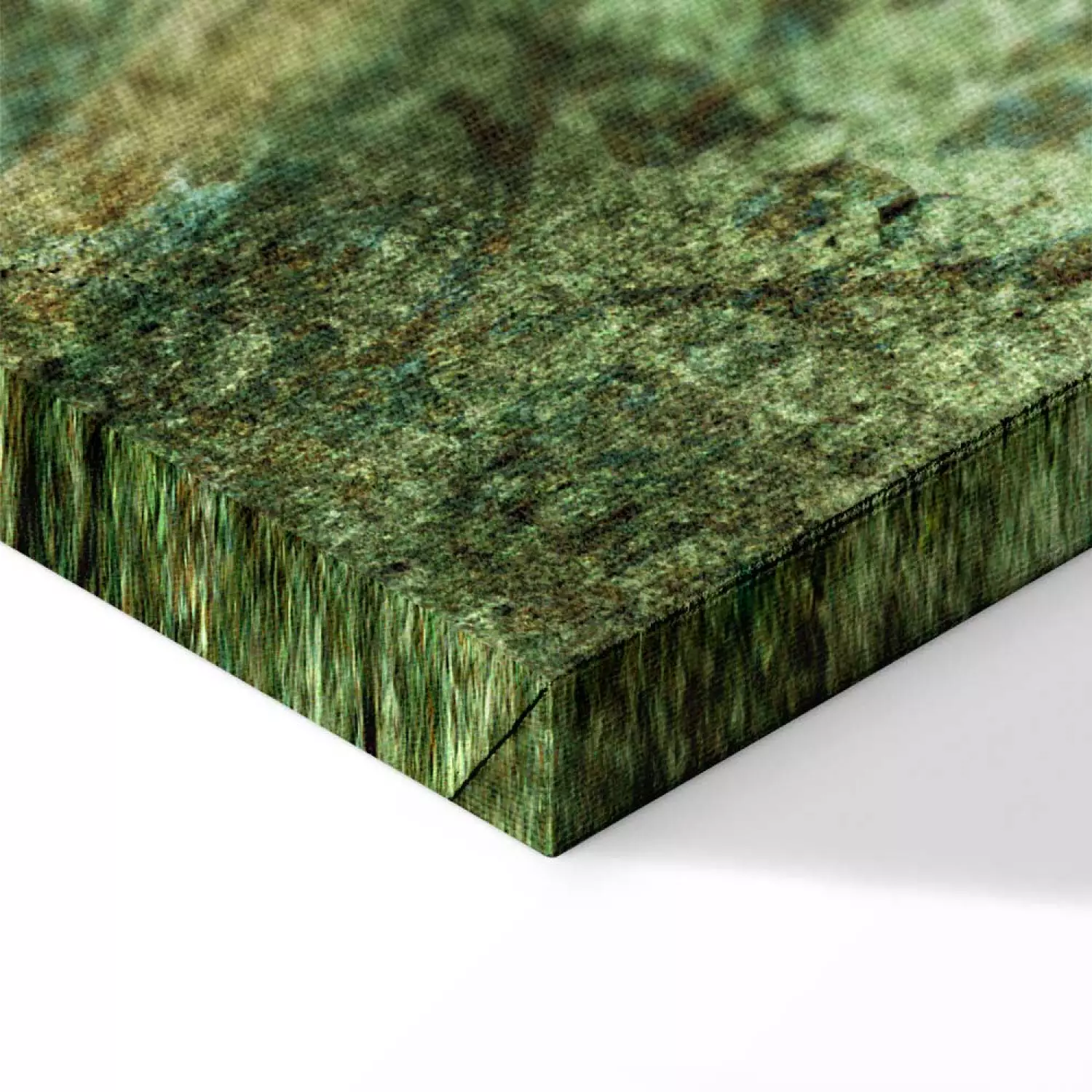 Canvas Print Big leaves - Worn image of exotic leaves plants