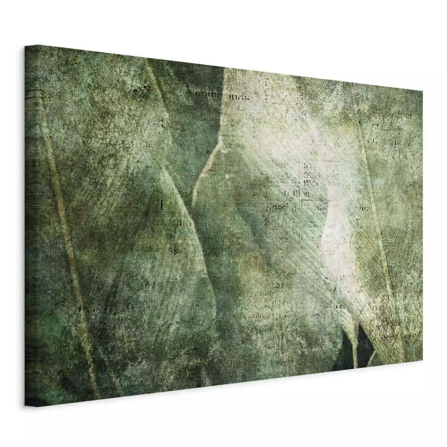 Canvas Print Big leaves - Worn image of exotic leaves plants