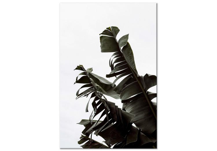 Canvas High green - climbing the leaves of an exotic plant