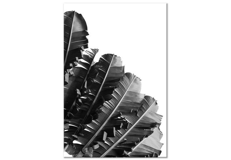 Canvas Banana leaves - a line of leaves on a white background