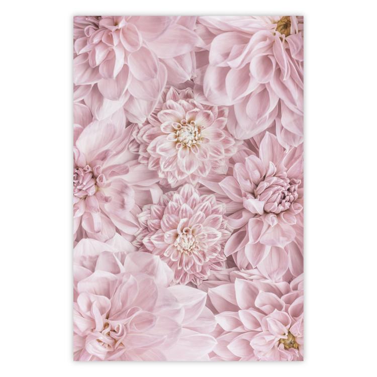 Poster Morning Flowers - composition of pink flowers in a romantic motif