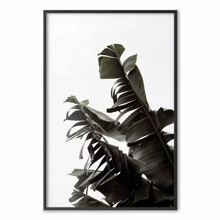Tropical Bouquet - natural composition of green leaves on a white background