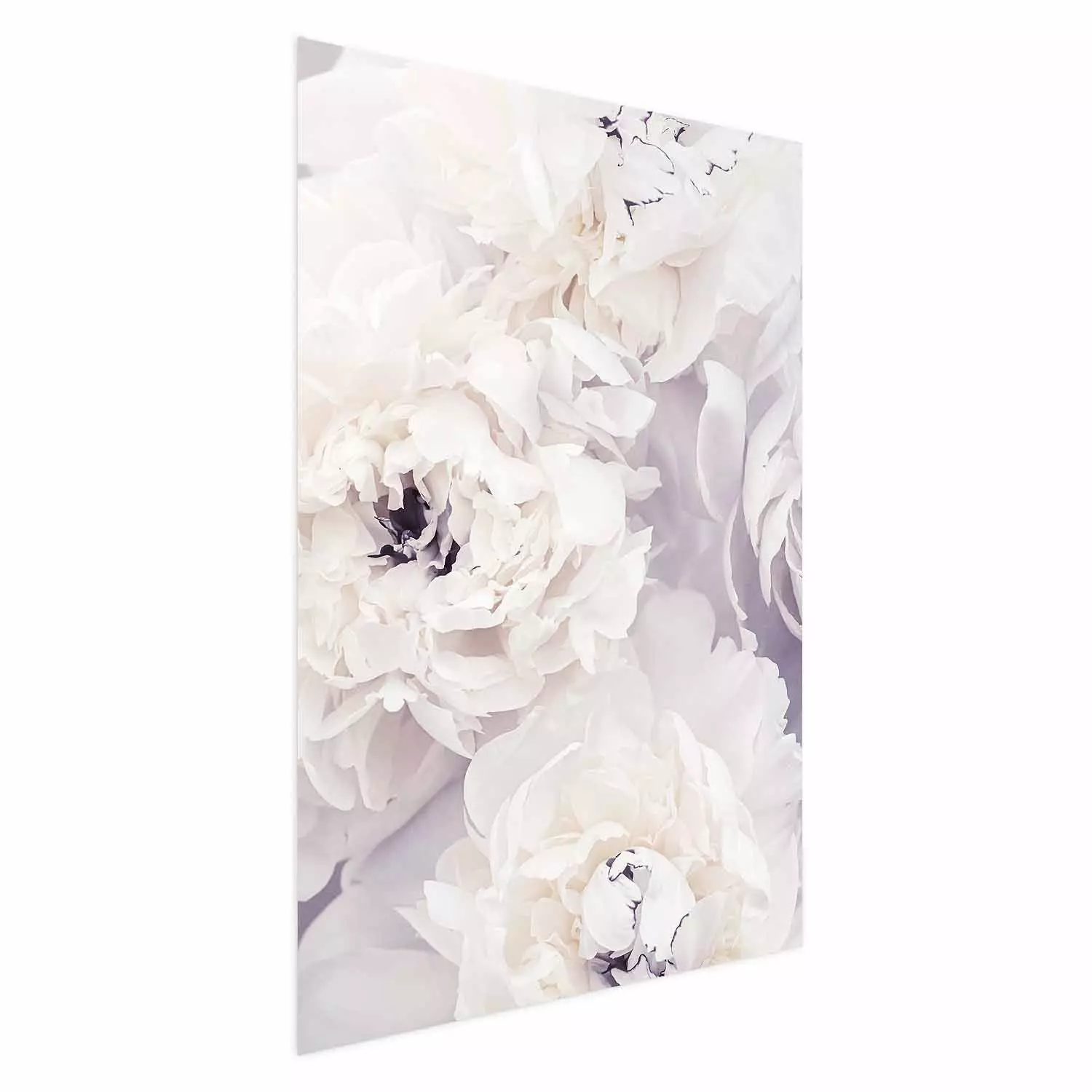 Poster Vanilla Magnolias - composition of flowers with a delicate purple hue