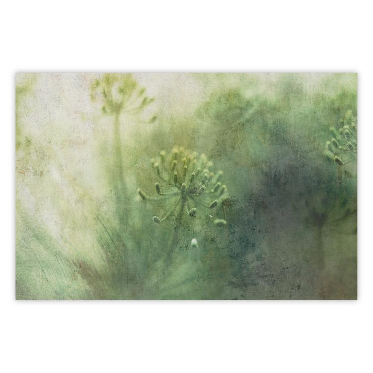 Poster May Meadow - green composition of meadow and flowers in bright light