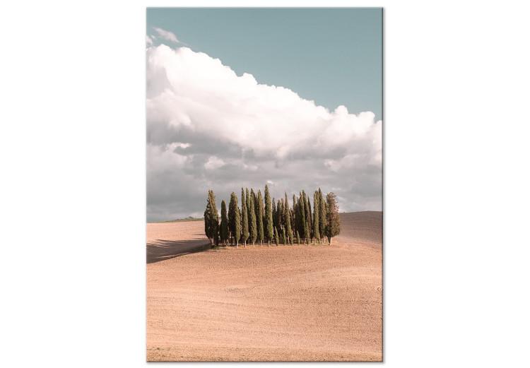 Canvas Tuscan forest - photo with a landscape of Tuscany and cypresses