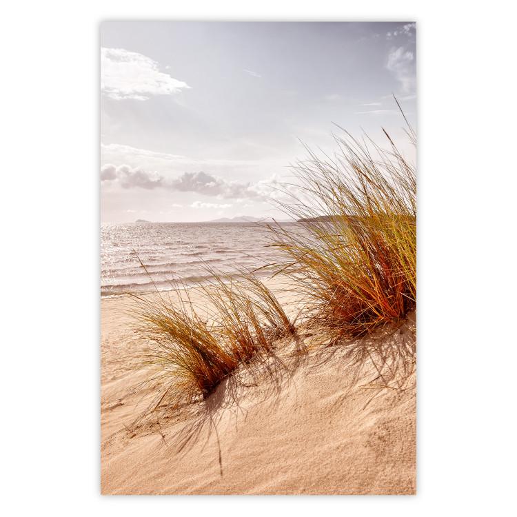 Poster Afternoon Wind - seascape and sandy beach in summer