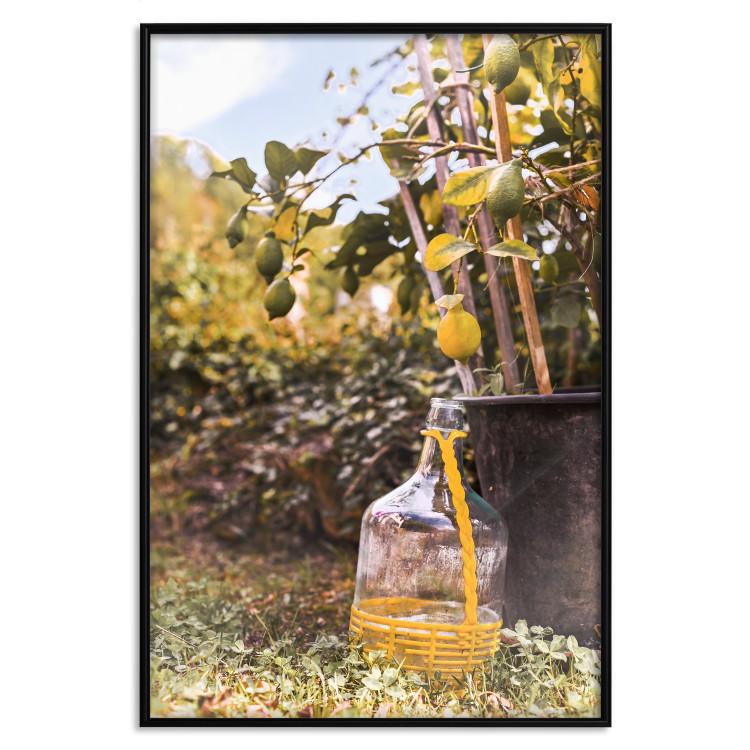 Poster Lemon Harvest [Poster]