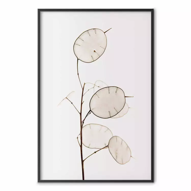Sunny Direction - a simple composition with bright foliage on a white background