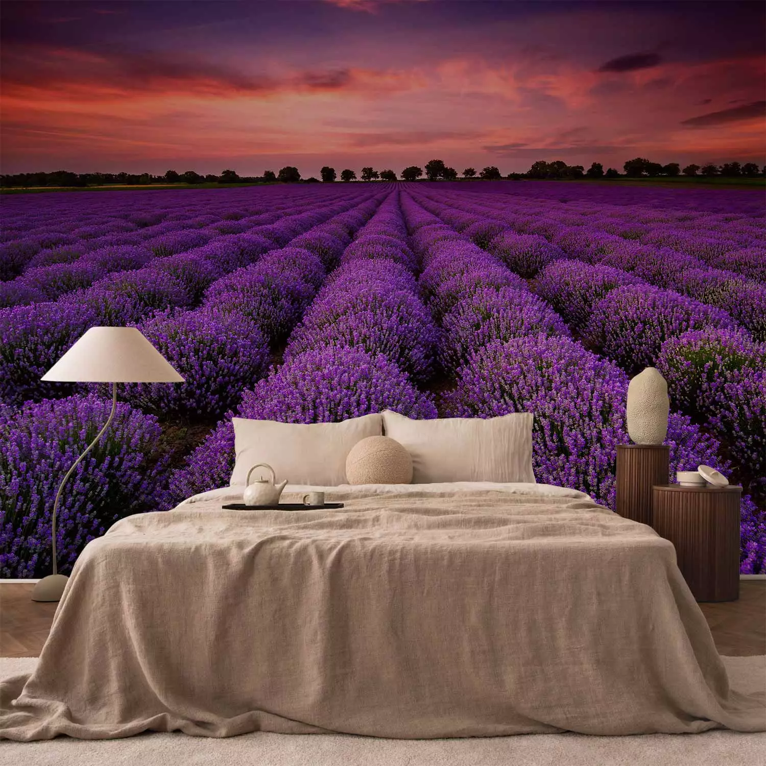 Photo Wallpaper Field of lavender - landscape with sunset over Provençal  fields - bimago, image size:1500x1500