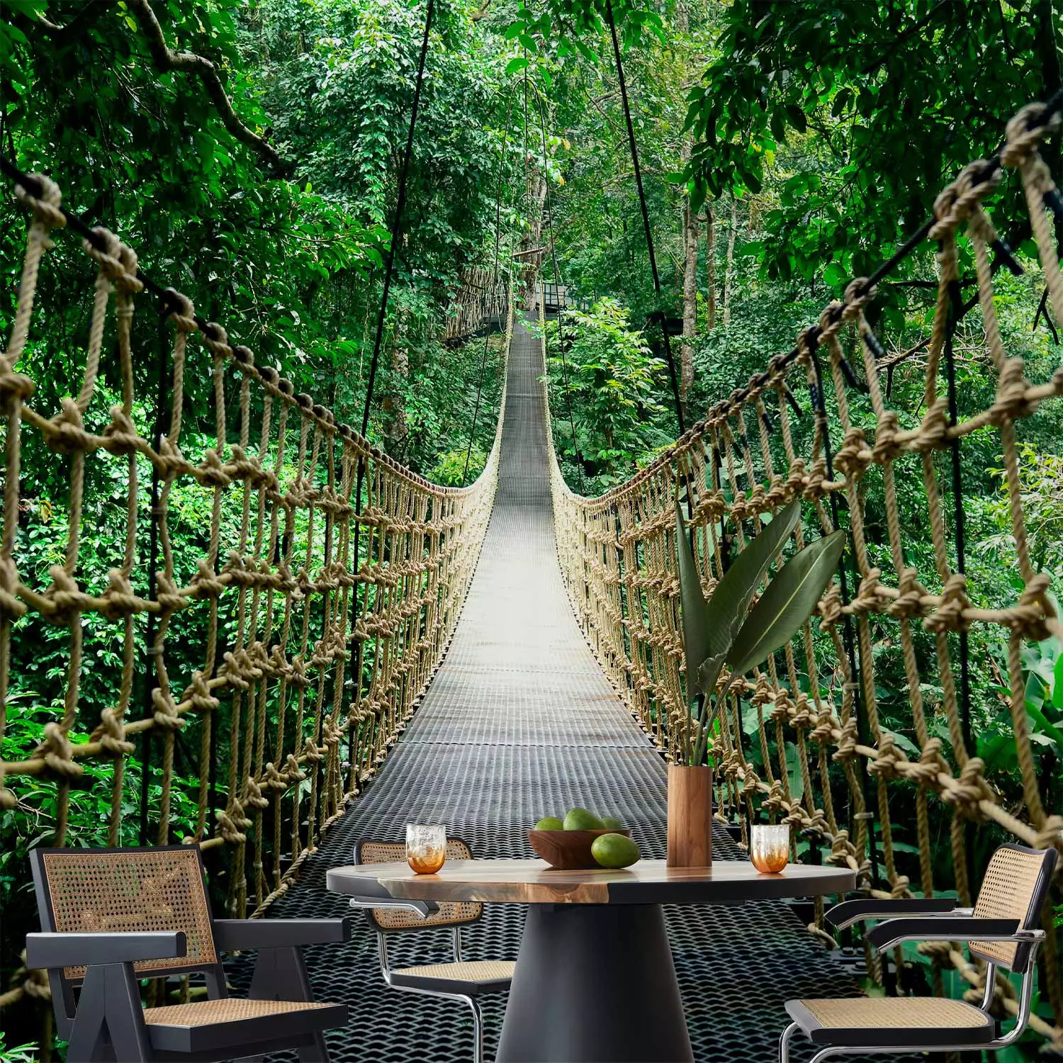 Photo Wallpaper Green jungle - landscape of a wooden rope bridge among the  trees - bimago, image size:1500x1500