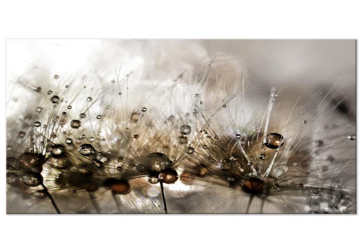 Large canvas print Drops of Water II [Large Format]