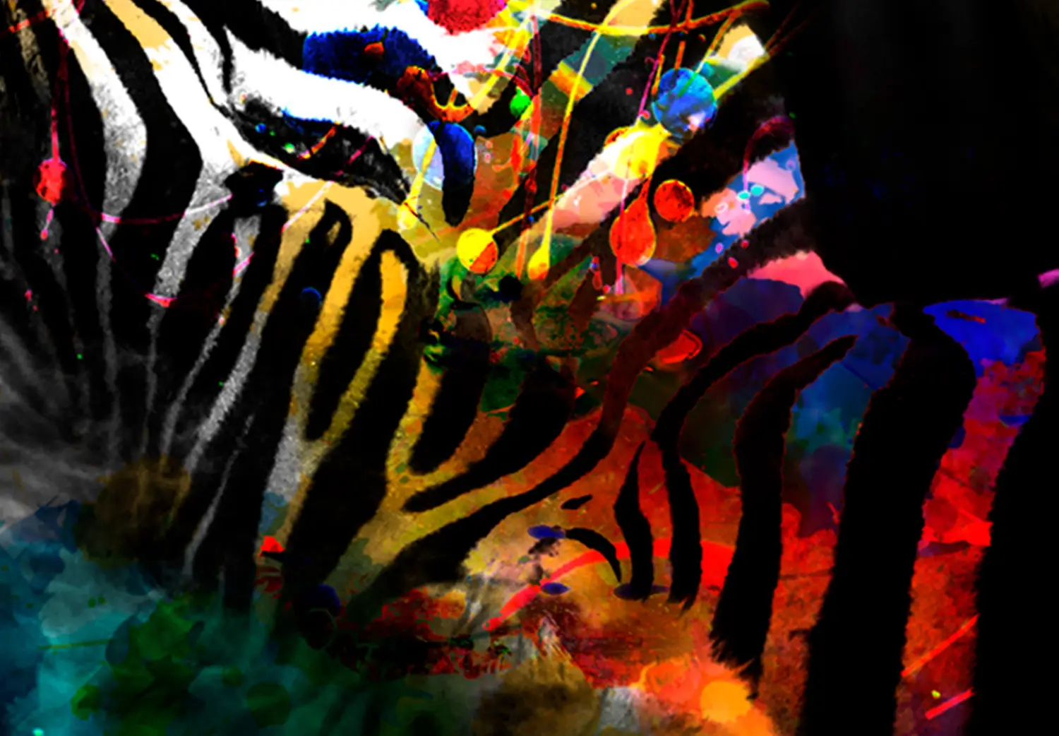 Large XXL canvas print Happy Zebra II - African Animal on a