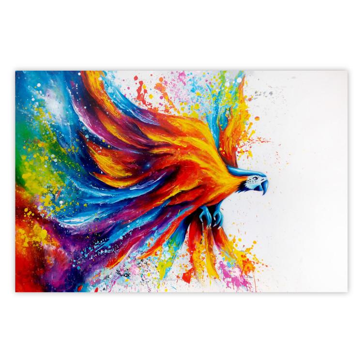 Poster Horizontal Parrot - unique composition with a colorful bird on white