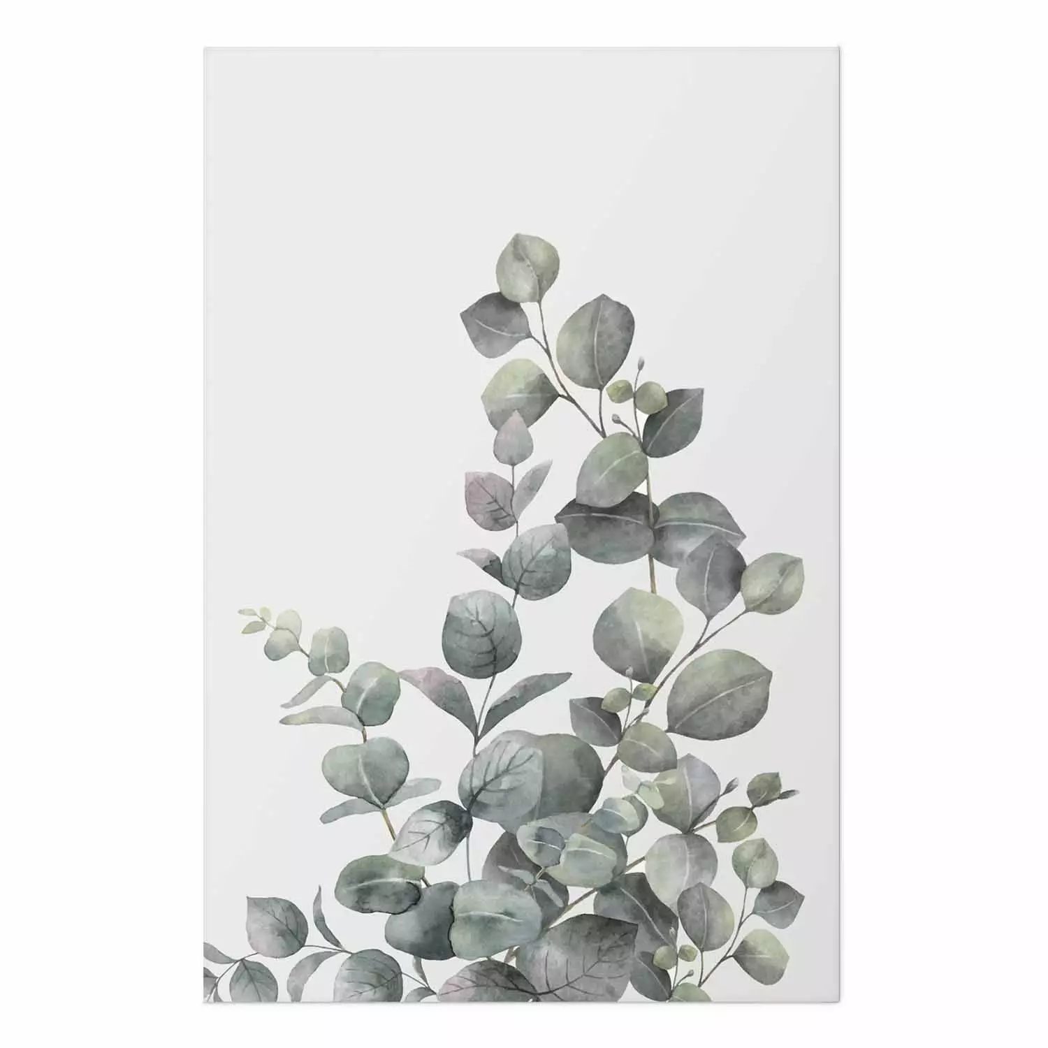 Wall Poster Eucalyptus Branches - composition with leaves of green plant and light background