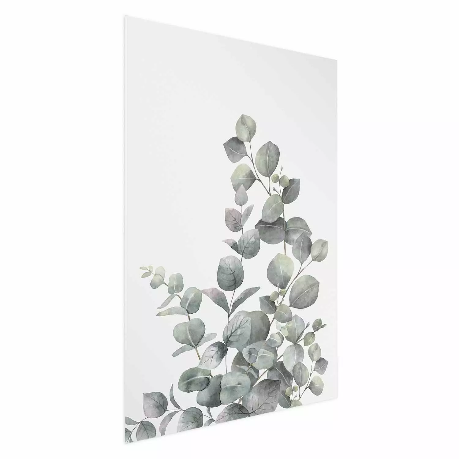 Wall Poster Eucalyptus Branches - composition with leaves of green plant and light background
