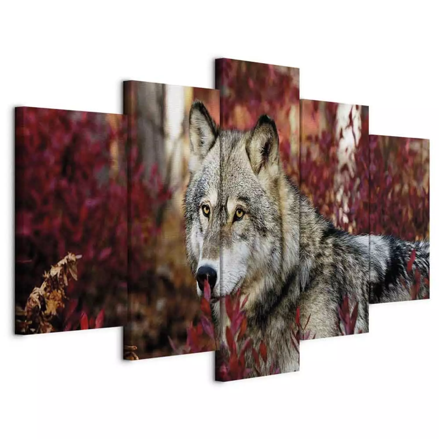 Canvas Art Print Pensive Wolf (5-piece) Wide