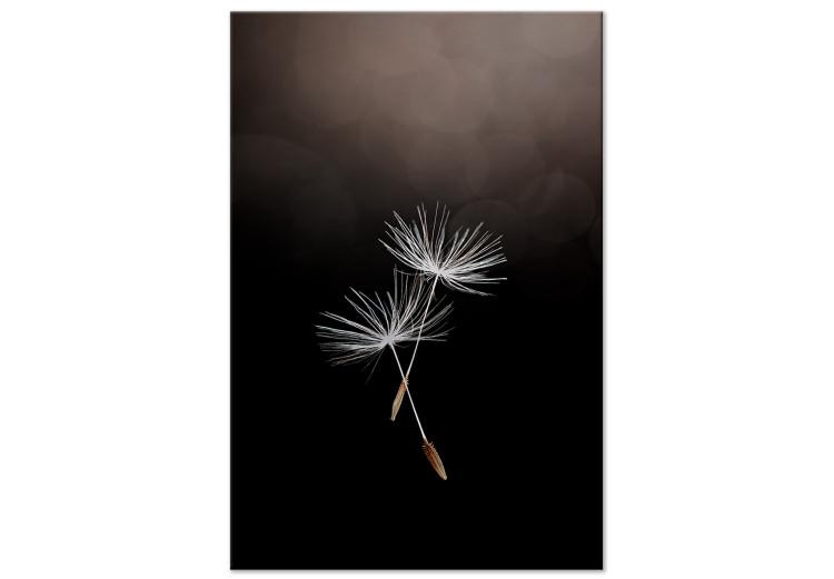 Canvas Two Dandelier Seeds - Boho Style Photography on a Dark Background