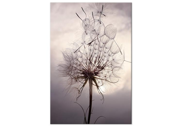 Canvas Inflorescence of a Dandelier - photo in the style of boho