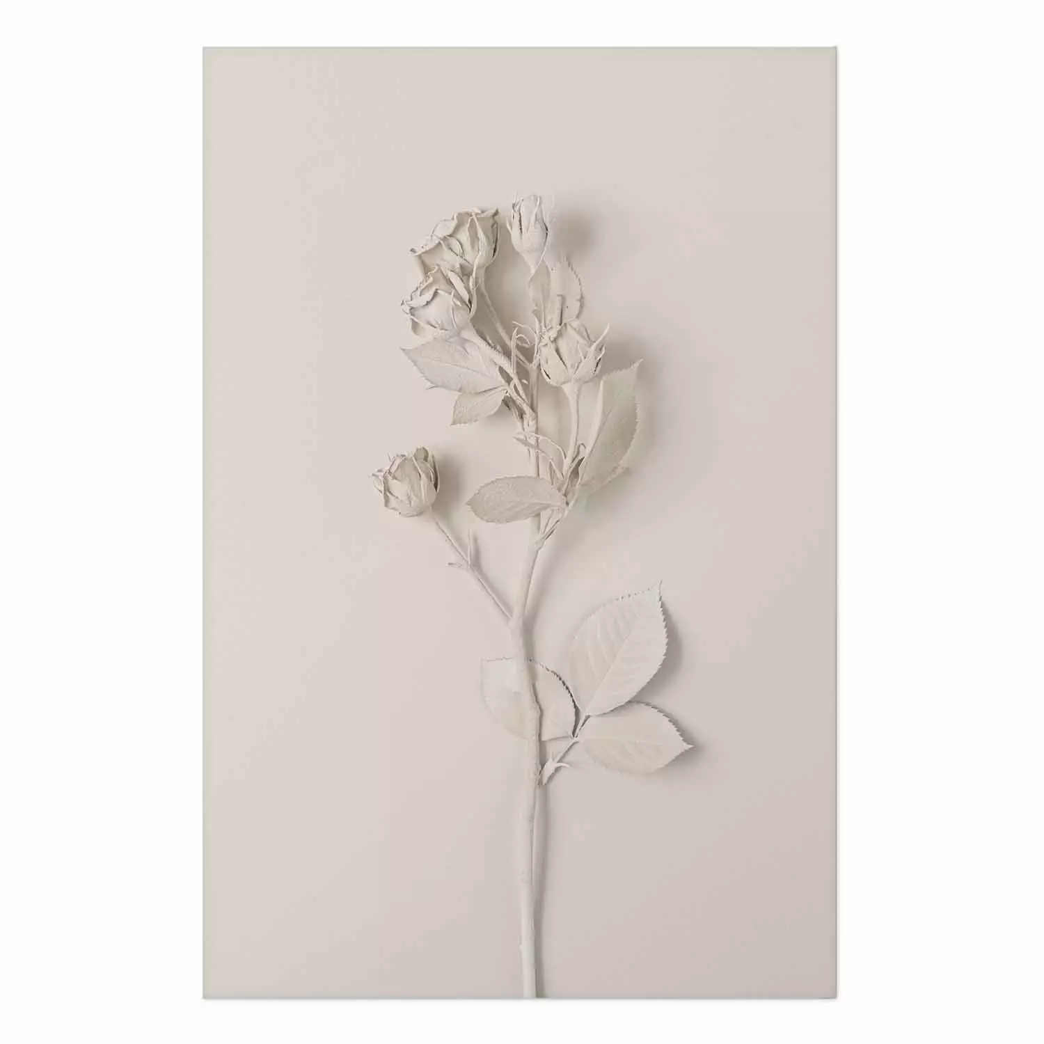 Wall Poster Harmonious Rose - unique composition with a flower on a uniform background