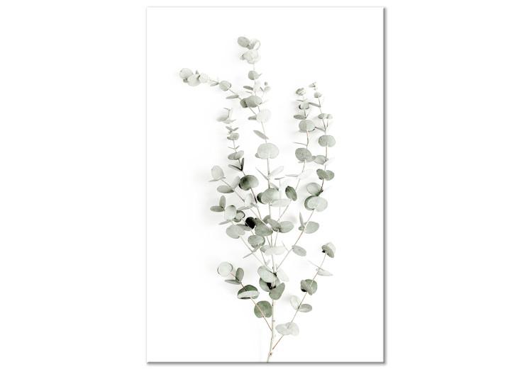 Canvas Eucalyptus Caesia (1-piece) Vertical - landscape of plants in boho style