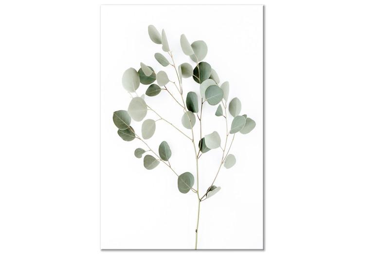 Canvas Silver Eucalyptus
