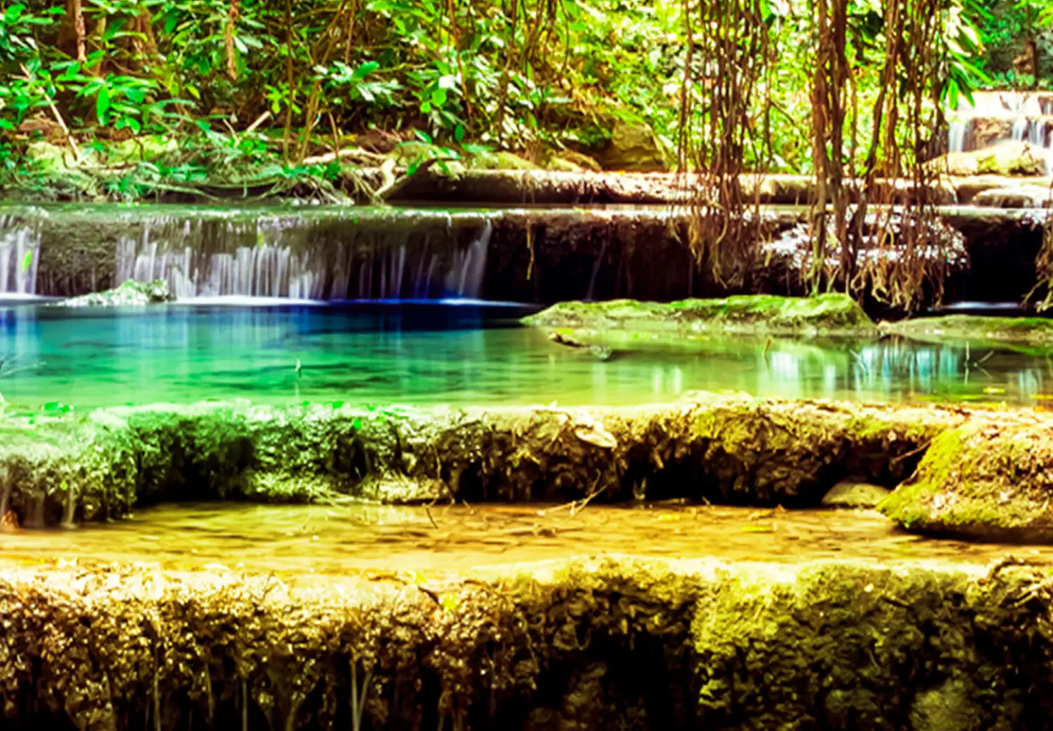 XXL canvas print Jewel of Nature II - Jungle and tropical