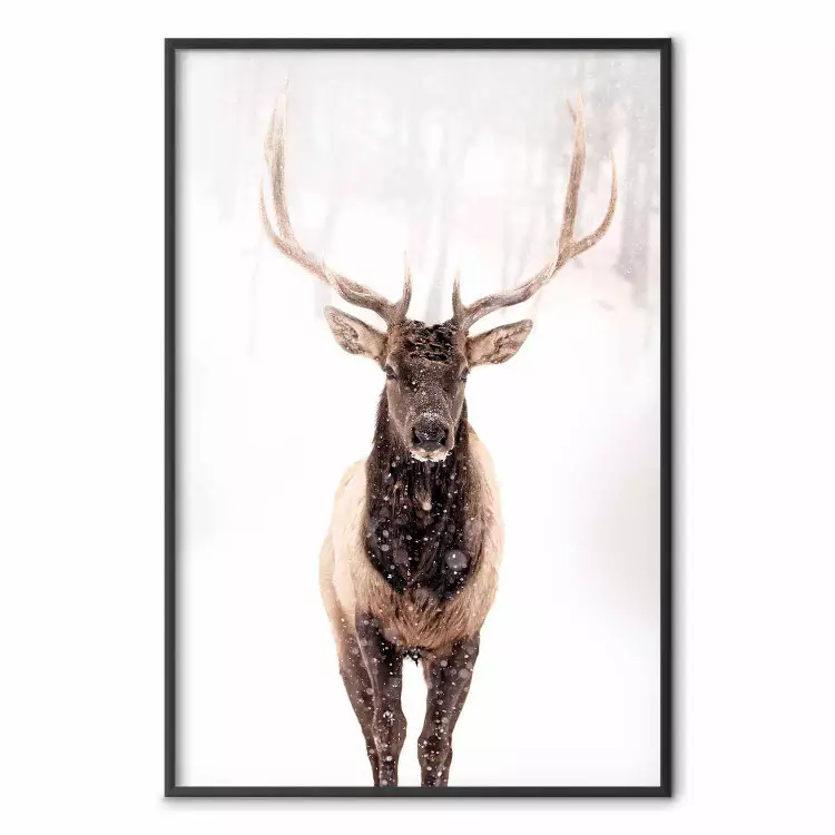 Deer in the Snow - winter composition of a brown deer on a white background