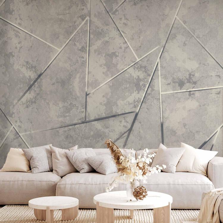 Wall Mural Geometry in a gray version - a composition with an abstract motif