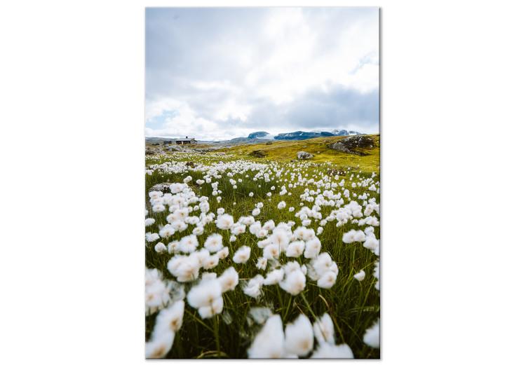 Canvas Meadow in the North (1-piece) Vertical - spring landscape with flowers