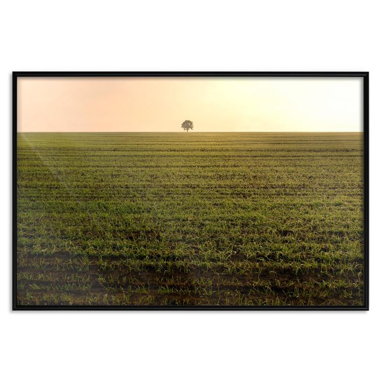 Poster Autumn Morning - landscape scenery of a field against the setting sun