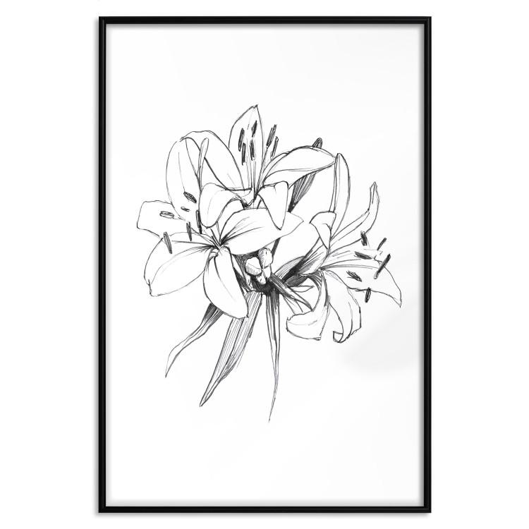 Poster Drawn Flowers - black sketch of flowers on a contrasting white background
