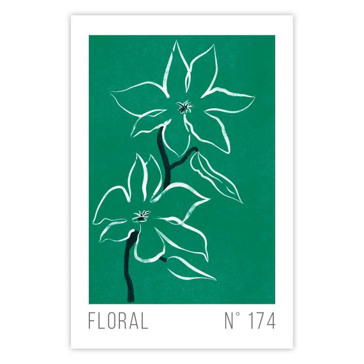 Poster Floral Sketch - English texts and white flowers on a green background