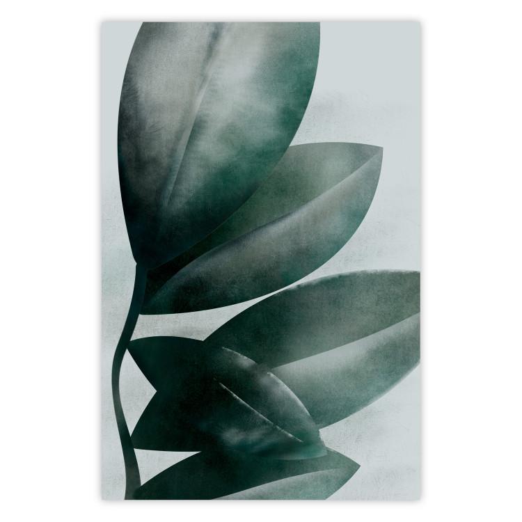 Poster Olive Leaves - plant composition of green leaves on a light background