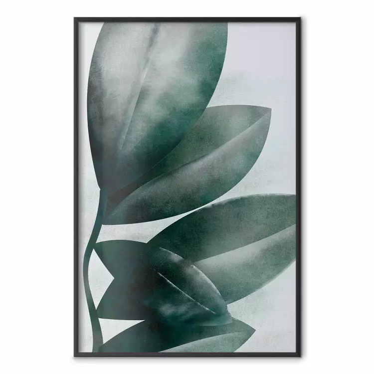 Olive Leaves - plant composition of green leaves on a light background
