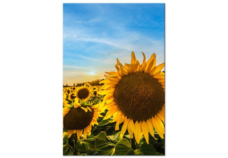 Canvas Flowers of Peace (1-piece) Vertical - sunflowers in a vast field