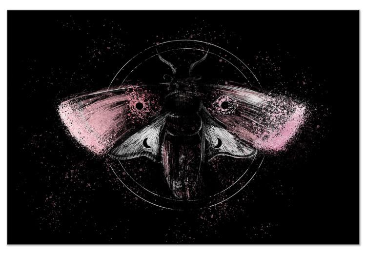 Canvas Night Moth (1-piece) Wide - second variant - pink wings