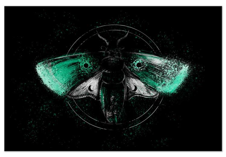 Canvas Night Moth (1-piece) Wide - third variant - green wings