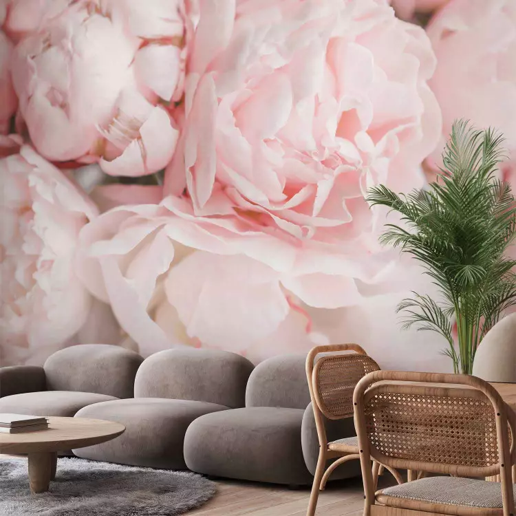 Powder peonies - subtle unified floral motif with close-ups